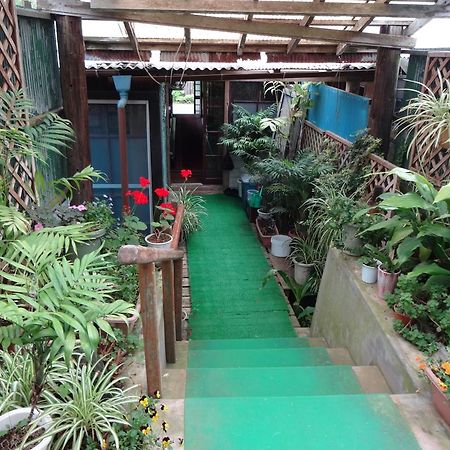 Gardenso Hotel Hachijo Ngoại thất bức ảnh